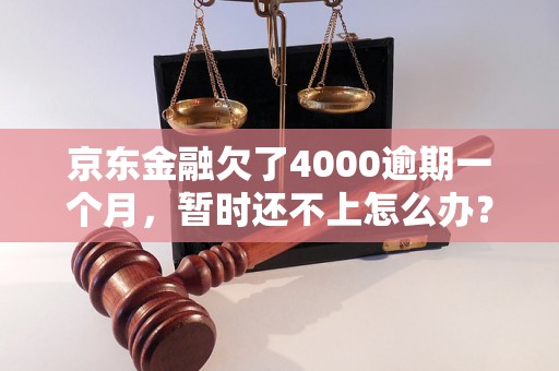 京东金融欠了4000逾期一个月，暂时还不上怎么办？