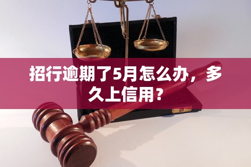 招行逾期了5月怎么办，多久上信用？