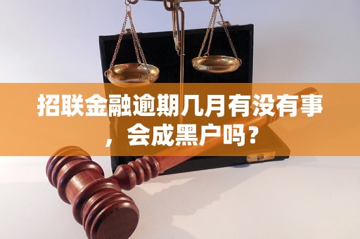 招联金融逾期几月有没有事，会成黑户吗？