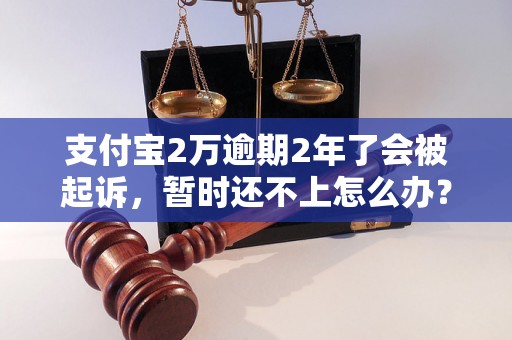 支付宝2万逾期2年了会被起诉，暂时还不上怎么办？