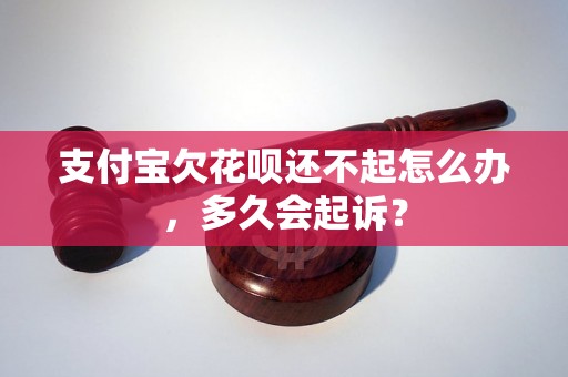 支付宝欠花呗还不起怎么办，多久会起诉？