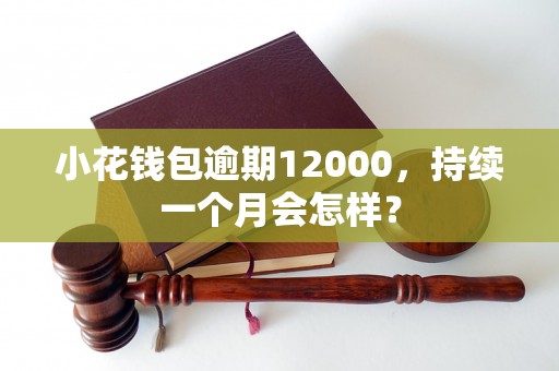 小花钱包逾期12000，持续一个月会怎样？