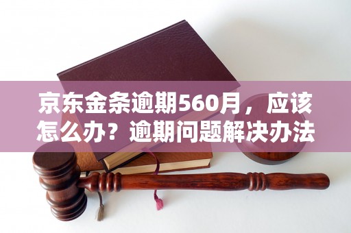 京东金条逾期560月，应该怎么办？逾期问题解决办法