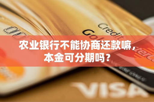 农业银行不能协商还款嘛，本金可分期吗？