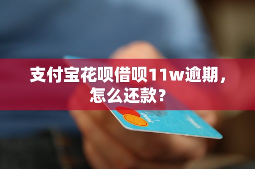 支付宝花呗借呗11w逾期，怎么还款？