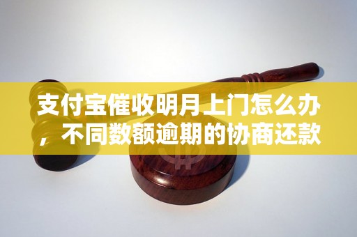 支付宝催收明月上门怎么办，不同数额逾期的协商还款经验分享