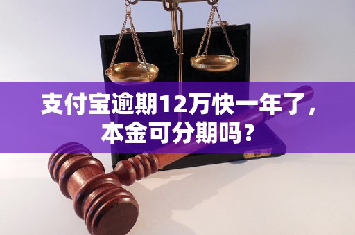 支付宝逾期12万快一年了，本金可分期吗？