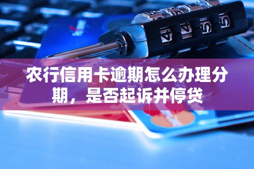 农行信用卡逾期怎么办理分期，是否起诉并停贷