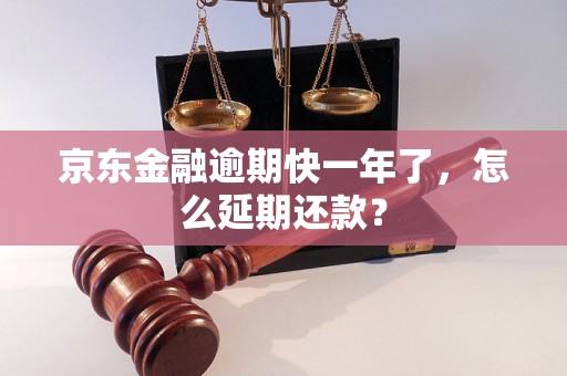 京东金融逾期快一年了，怎么延期还款？