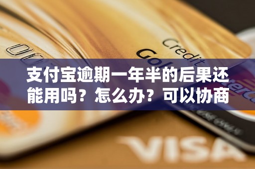 支付宝逾期一年半的后果还能用吗？怎么办？可以协商还本金吗？