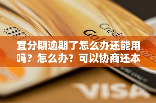 宜分期逾期了怎么办还能用吗？怎么办？可以协商还本金吗？