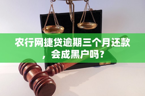 农行网捷贷逾期三个月还款，会成黑户吗？