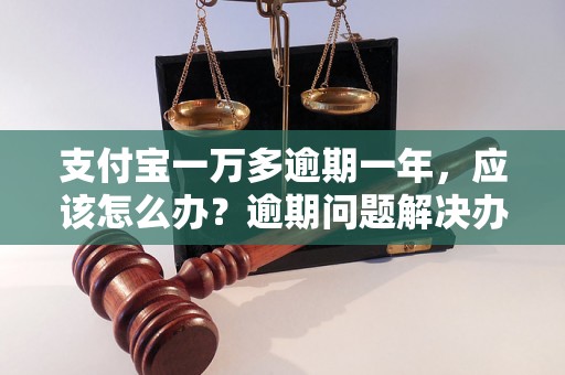 支付宝一万多逾期一年，应该怎么办？逾期问题解决办法