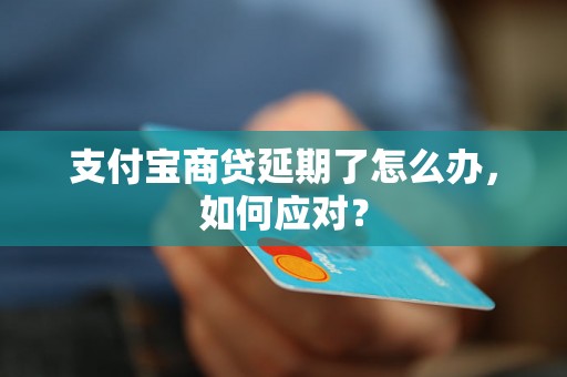 支付宝商贷延期了怎么办，如何应对？