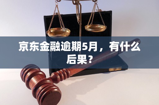 京东金融逾期5月，有什么后果？