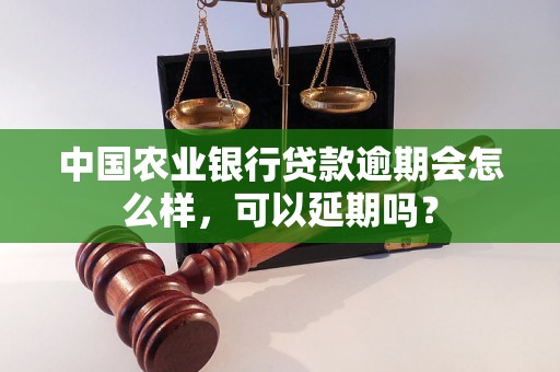 中国农业银行贷款逾期会怎么样，可以延期吗？