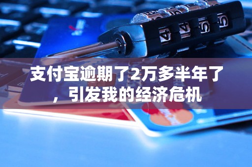 支付宝逾期了2万多半年了，引发我的经济危机