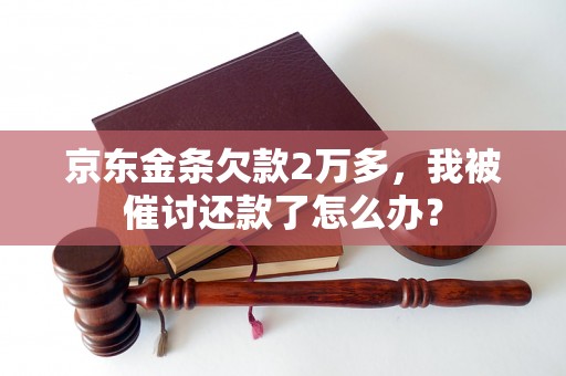 京东金条欠款2万多，我被催讨还款了怎么办？