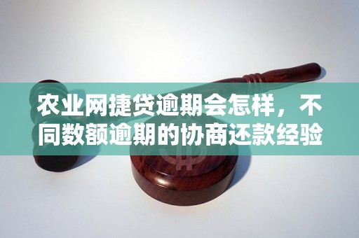 农业网捷贷逾期会怎样，不同数额逾期的协商还款经验分享