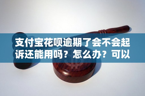 支付宝花呗逾期了会不会起诉还能用吗？怎么办？可以协商还本金吗？