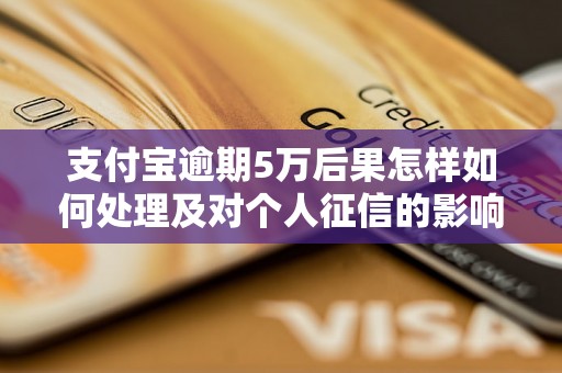 支付宝逾期5万后果怎样如何处理及对个人征信的影响