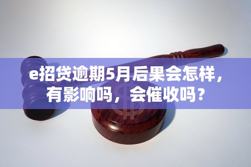 e招贷逾期5月后果会怎样，有影响吗，会催收吗？