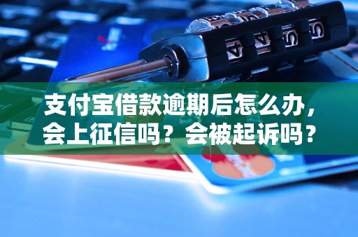 支付宝借款逾期后怎么办，会上征信吗？会被起诉吗？