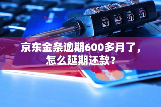 京东金条逾期600多月了，怎么延期还款？