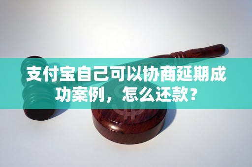 支付宝自己可以协商延期成功案例，怎么还款？