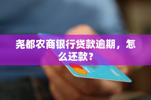 尧都农商银行贷款逾期，怎么还款？