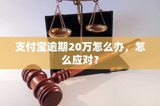 支付宝逾期20万怎么办，怎么应对？