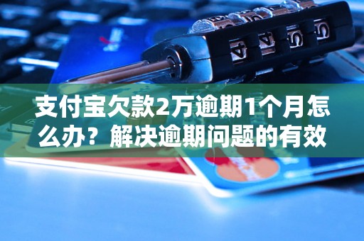 支付宝欠款2万逾期1个月怎么办？解决逾期问题的有效方法分享