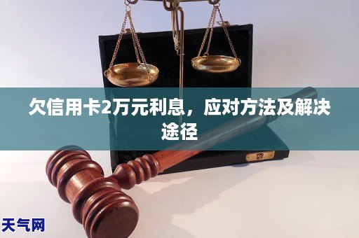 欠信用卡2万元利息,应对     及解决途径
