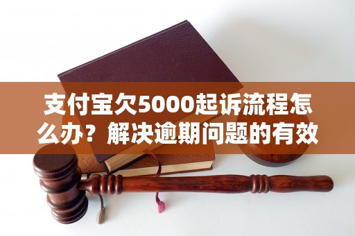 支付宝欠5000起诉流程怎么办？解决逾期问题的有效方法分享