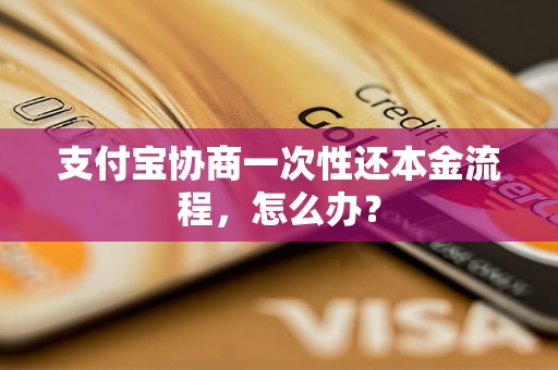 支付宝协商一次性还本金流程，怎么办？