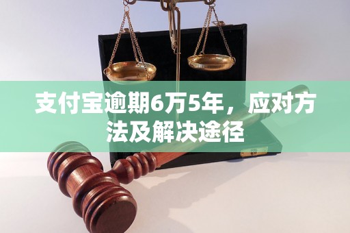 支付宝逾期6万5年，应对方法及解决途径