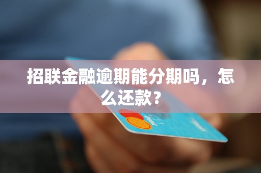 招联金融逾期能分期吗，怎么还款？