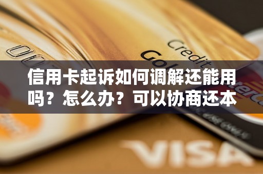 信用卡起诉如何调解还能用吗？怎么办？可以协商还本金吗？