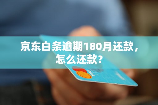 京东白条逾期180月还款，怎么还款？