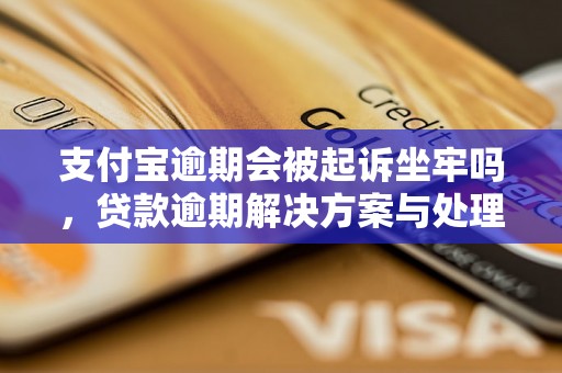 支付宝逾期会被起诉坐牢吗，贷款逾期解决方案与处理策略