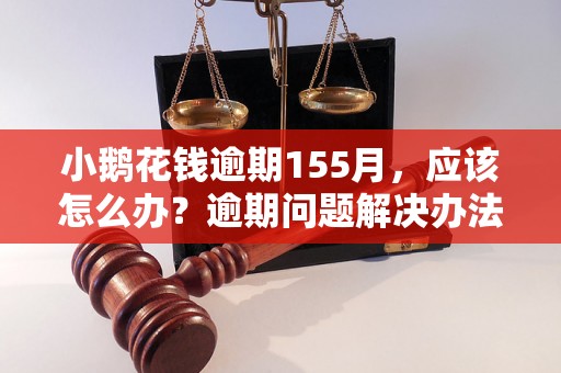 小鹅花钱逾期155月，应该怎么办？逾期问题解决办法