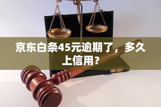 京东白条45元逾期了，多久上信用？