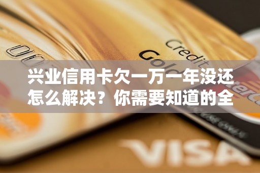 兴业信用卡欠一万一年没还怎么解决？你需要知道的全部解决方法