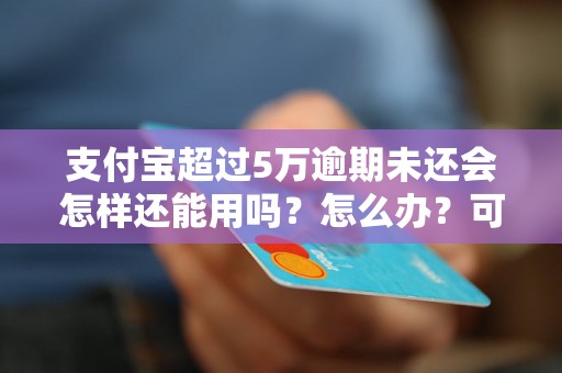 支付宝超过5万逾期未还会怎样还能用吗？怎么办？可以协商还本金吗？