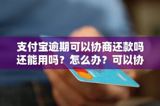 支付宝逾期可以协商还款吗还能用吗？怎么办？可以协商还本金吗？