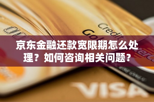 京东金融还款宽限期怎么处理？如何咨询相关问题？