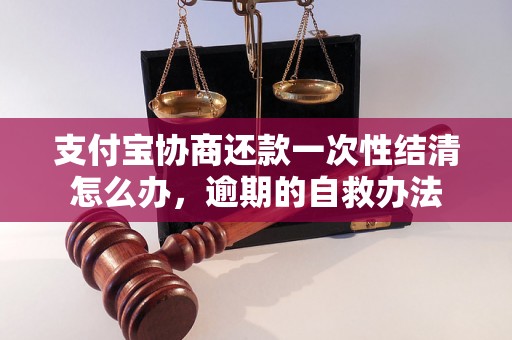 支付宝协商还款一次性结清怎么办，逾期的自救办法