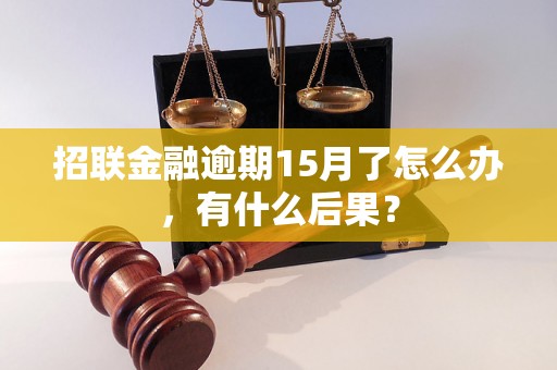 招联金融逾期15月了怎么办，有什么后果？