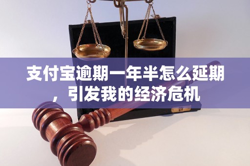 支付宝逾期一年半怎么延期，引发我的经济危机