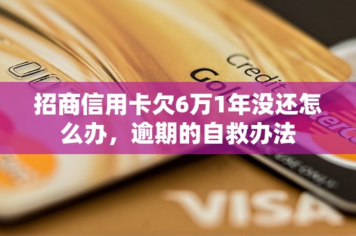 招商信用卡欠6万1年没还怎么办，逾期的自救办法